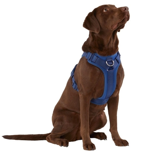 TOP PAW Royal Blue Neoprene Padded Harness Small Boston, Shih Tzu, Pug, Mini Dac - Picture 1 of 5